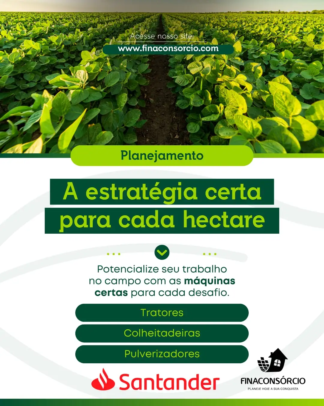 A estratégia certa para cada hectare